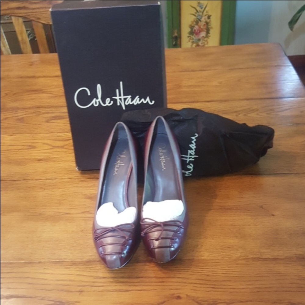 Cole Haan Violet Air Lace Pump
